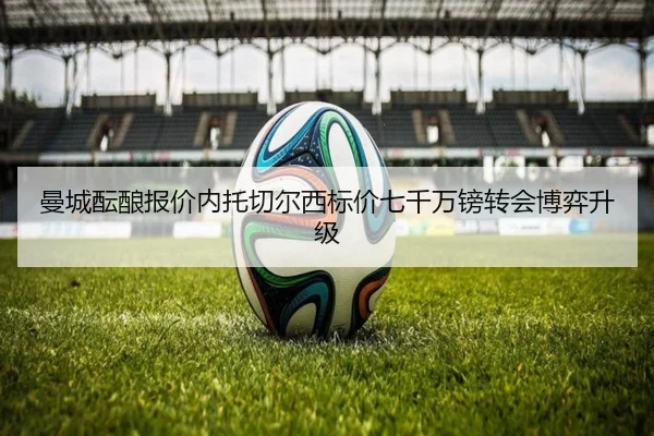 曼城酝酿报价内托切尔西标价七千万镑转会博弈升级