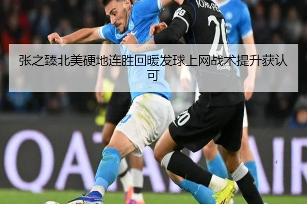 张之臻北美硬地连胜回暖发球上网战术提升获认可